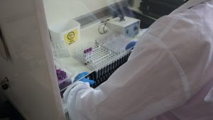 Dezembro Vermelho refor&ccedil;a preven&ccedil;&atilde;o e diagn&oacute;stico das ISTs em Minas Gerais&nbsp;