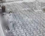 VÍDEO: Homem faz ‘sujeira’ no Centro de Divinópolis