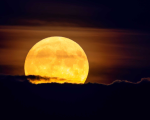 A última oportunidade de observar uma superlua em 2025 acontece nesta quinta-feira, 4
