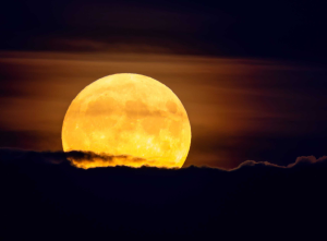 A &uacute;ltima oportunidade de observar uma superlua em 2025 acontece nesta quinta-feira, 4