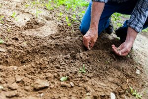 O sonho de &ldquo;viver na fazenda&rdquo; pode gerar um &ecirc;xodo urbano?