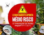 Levantamento aponta médio risco de infestação do Aedes aegypti em Cajuru