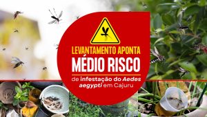 Levantamento aponta m&eacute;dio risco de infesta&ccedil;&atilde;o do Aedes aegypti em Cajuru