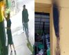 Câmera flagra homem ateando fogo em fachada de comércio no Niterói, em Divinópolis
