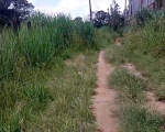 Moradores cobram limpeza em área central de Divinópolis