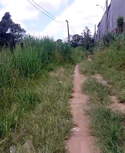 Moradores cobram limpeza em &aacute;rea central de Divin&oacute;polis