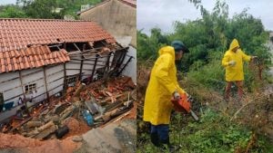 Chuva forte provoca desmoronamento de encosta e queda de &aacute;rvores em Divin&oacute;polis