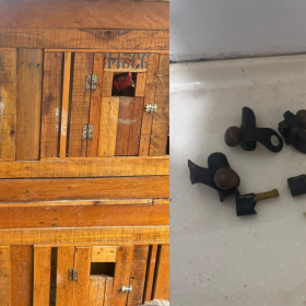 Formiga: Galos em situação de maus-tratos utilizados para rinha são resgatados