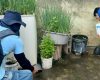 Divinópolis passa de mil casos notificados de dengue