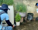 Divinópolis passa de mil casos notificados de dengue