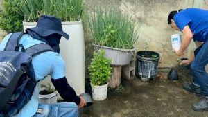 Divinópolis passa de mil casos notificados de dengue