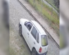VÍDEO: Cadela é morta após atropelamento no Belo Vale, em Divinópolis