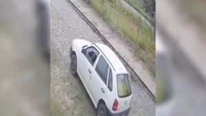 V&Iacute;DEO: Cadela &eacute; morta ap&oacute;s atropelamento no Belo Vale, em Divin&oacute;polis