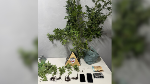 Homem &eacute; preso com p&eacute;s de maconha e dinheiro, em Formiga