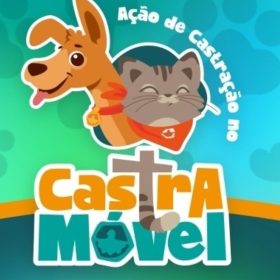 Divinópolis: Prefeitura abre inscrições para o Castramóvel no bairro Terra Azul