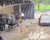 Veja vídeo: Caminhonete é roubada em assalto à mão armada em Divinópolis