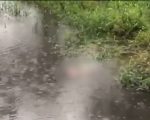 Corpo de mulher é encontrado em lago na zona rural de Itaúna
