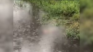 Corpo de mulher é encontrado em lago na zona rural de Itaúna