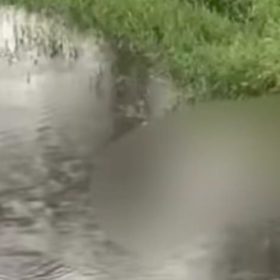 Homem é preso acusado de feminicídio após corpo ser encontrado em lago de Itaúna
