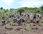 Parque Estadual Mata do Limoeiro abre edital para voluntários do Projeto Ecofolia 2026