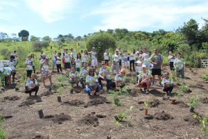 Parque Estadual Mata do Limoeiro abre edital para voluntários do Projeto Ecofolia 2026