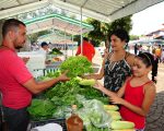 Feiras livres geram renda para agricultores de quase 700 municípios mineiros