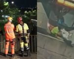 Homem é jogado no rio Arrudas durante briga e desaparece após ser arrastado pela correnteza em BH
