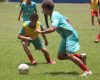 Guarani retoma base e mira competição em SP