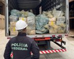 Polícia Federal destrói mais de 7 toneladas de drogas em MG
