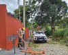 Queda de árvore deixa comunidade do Quilombo sem energia por 20 horas em Divinópolis