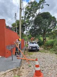 Queda de árvore deixa comunidade do Quilombo sem energia por 20 horas em Divinópolis