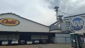 Est&uacute;dio m&oacute;vel da R&aacute;dio Nova Sertaneja marca presen&ccedil;a na Feira da Empregabilidade da Codil em Divin&oacute;polis