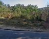 Corpo de mulher é encontrado em decomposição no rio Arrudas, em Sabará