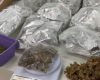 Polícia prende homem por vender ‘supermaconha’ na região de Venda Nova, em BH