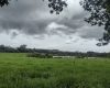 Governo de Minas alerta para semana de instabilidade e volumes elevados de chuva em todo o estado até 24/1