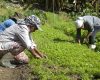 Governo do Brasil libera primeira parcela para projeto de descontaminação de solos na Bacia do Rio Doce