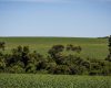 Funrural, qual a melhor opção?