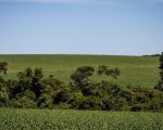 Funrural, qual a melhor opção?