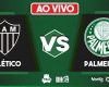Final de jogo Atlético 2×2 Palmeiras pelo Campeonato Brasileiro