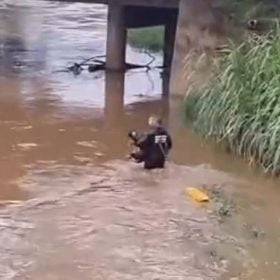 Bombeiros resgatam cão ilhado no rio São João, em Itaúna