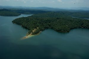 Instituto Estadual de Florestas cria grupo de trabalho para acelerar metas da Mata Atl&acirc;ntica em Minas