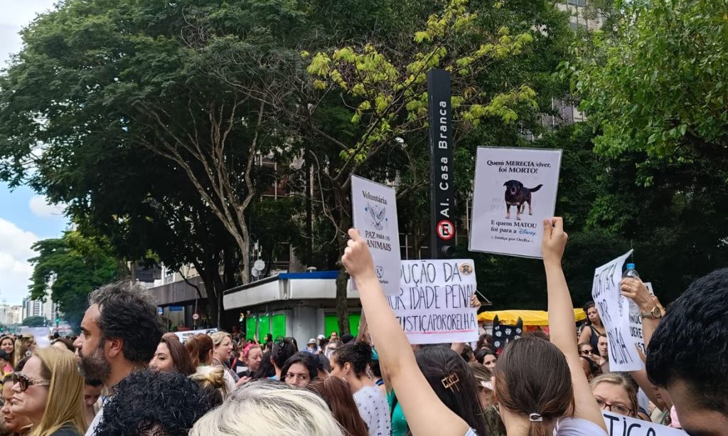 Manifestantes pedem justi&ccedil;a pelo c&atilde;o Orelha em atos por todo o Brasil