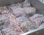 PM fecha fábrica de linguiça em Divinópolis por contaminação na carne e no solo