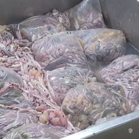 PM fecha fábrica de linguiça em Divinópolis por contaminação na carne e no solo