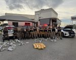 Apreensão de drogas em Divinópolis: carga é avaliada em R$ 4 milhões