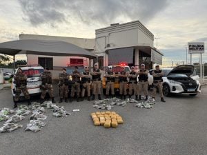 Apreens&atilde;o de drogas em Divin&oacute;polis: carga &eacute; avaliada em R$ 4 milh&otilde;es
