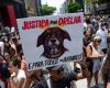 Polícia quer apreender passaporte de envolvido na morte do cão Orelha