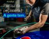 Audipeças! Quem trabalha na oficina sabe: marca boa evita retrabalho.