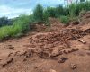 Ossos de animais são encontrados jogados às margens da MG-050, em Carmo do Cajuru