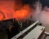 Vídeo: Corpo de Bombeiros resgata cadela durante incêndio em depósito, em Pouso Alegre